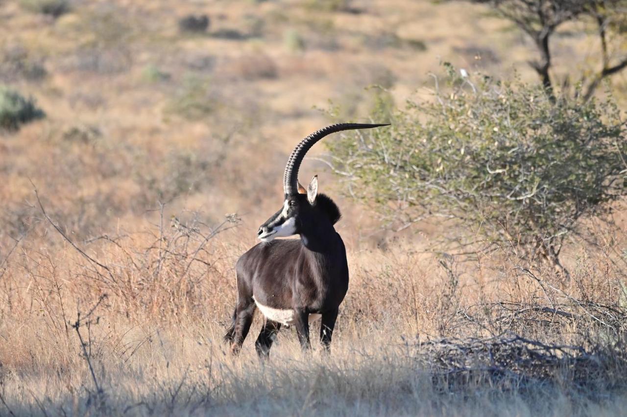 Aloegrove Safari Lodge Otjiwarongo Eksteriør billede