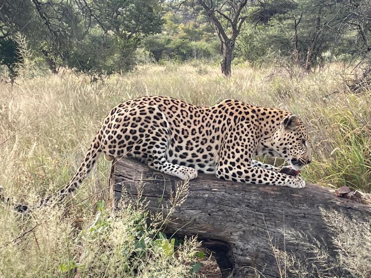 Aloegrove Safari Lodge Otjiwarongo Eksteriør billede